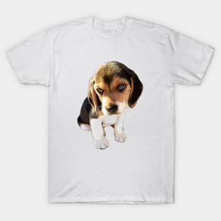 Beagle Dog Cute Puppy Eyes T-Shirt